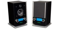 Loa Stereo McIntosh RS100