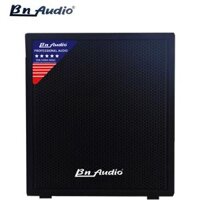 Loa Sub BN Audio SW2