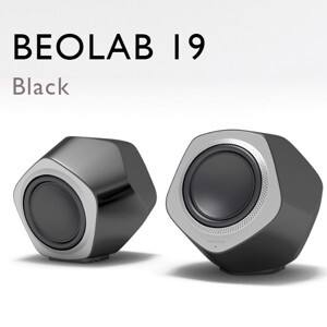 Loa sub B&O Beolab 19