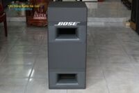 Loa Sub BOSE 502B Panaray