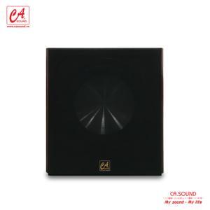 Loa sub CA Sound SW-12