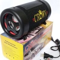 Loa Sub Crown 4 bluetooth dáng tròn công suất 10W dùng chuyển nguồn 220V/ 12 V