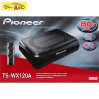 Loa Sub gầm ghế ô tô, xe hơi Pioneer 120A giá lẻ rẻ như buôn