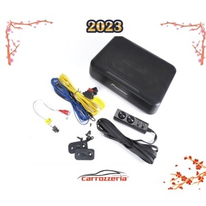 Loa sub gầm ghế Pioneer TS-WX130DA