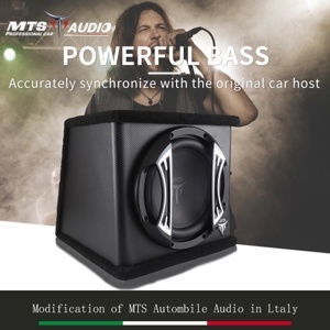 Loa Sub hơi ô tô MTS VX10