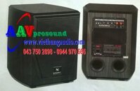Loa Sub Nanomax P-170 | Loa hội trường chất lượng cao giá rẻ
