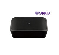 Loa Sub Yamaha VXS3SB và VXS3SW