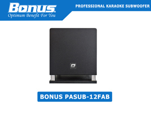 Loa subwoofer Bonus Audio PASUB-12FAB