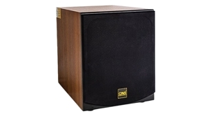 Loa subwoofer CAVS 450E