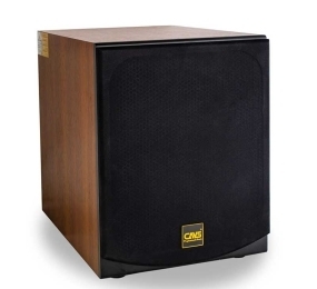 Loa subwoofer CAVS 450E