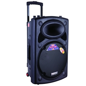 Loa Temeisheng 297S