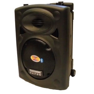 Loa Temeisheng DP131 (DP-131)