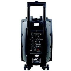 Loa Temeisheng DP-131L
