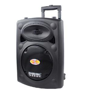 Loa Temeisheng DP-131L