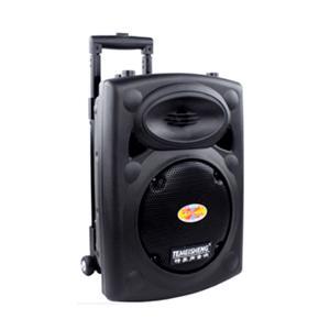 Loa Temeisheng DP-131L