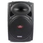 Loa Temeisheng DP-2305S