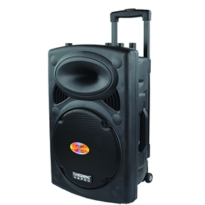 Loa Temeisheng DP107L (DP-107L)