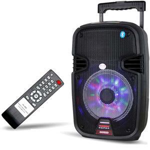 Loa Temeisheng SL-07