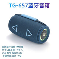 Loa TG657 di động ngoài trời, cột thể thao, đèn RGB, loa subwoofer cầm tay