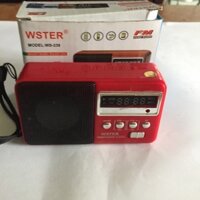 Loa thẻ nhớ FM mini WSTER Mooel -239