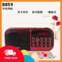 Loa Thẻ nhớ nghe nhạc FM B859 B866