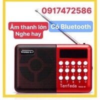 LOA THẺ NHỚ T853S , CÓ BLUETOOTH CÓ FM CÓ ĂNGTEN