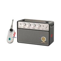 Loa Thu Âm D25 Cho Sáo Điện Tử