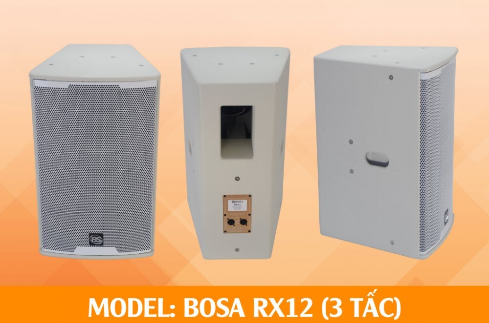 Loa thùng Bosa RX12