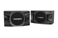 Loa Thùng Karaoke 10 inches Paramax MK-S1000