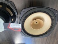 LOA TOAN DAI BASS 20CM FOSTEX FE 203 TỪ ĐÔI NHẬT