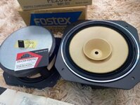 LOA TOAN DAI FOSTEX 206S JAPAN