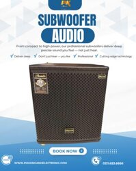 Loa trầm điện bass 30 PK mặt lưới sắt