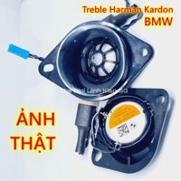 Loa Treble Harman Kardon BMW chính hãng 100% có tai bắt vít ( có tụ phân tần đi kèm )