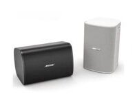 Loa treo tường Bose DesignMax DM2S