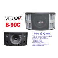 Loa Treo Tường XIMAX B90C - 3 loa: 1 Bass 25P100C25, 1 tép 3 inh, 1 tép 2.5 inh mành sắt (1 đôi)