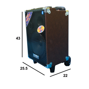 Loa trợ giảng Temeisheng Q8S