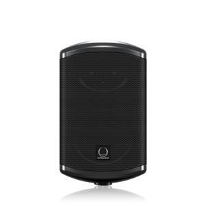 Loa Turbosound TCI32-T 2 WAY 120W
