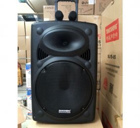 Loa vali kéo di động Temeisheng LA-015