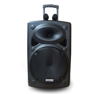 Loa vali kéo di động Temeisheng LA-015