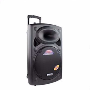 Loa Vali Kéo Temeisheng DP107
