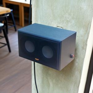 Loa vệ tinh Blaster V35