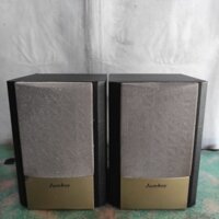 Loa vệ tinh jumboy (loa con)