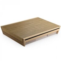 Loa Wireless Bang & Olufsen BEOSOUND LEVEL