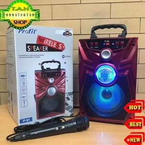 Loa xách tay Bluetooth tích hợp chức năng Karaoke Profit P91