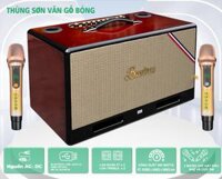 Loa Xách Tay BOSSINON Bass 2 Tấc N3379K | Loa Chuyên Karaoke, Nghe Nhạc