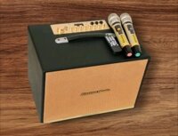 LOA XÁCH TAY BOSTON AUDIO BA-9999 VII