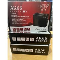 LOA XÁCH TAY ĐA NĂNG AKER AK66
