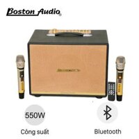 Loa Xách Tay Hiệu Boston Audio BA 9999 VII