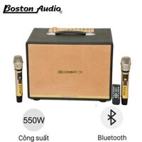 Loa Xách Tay Hiệu Boston Audio BA 9999 VII