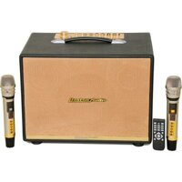 Loa Xách Tay Hiệu Boston Audio BA 9999 VII